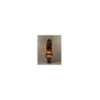 Catia Porte-jarretelles - Noir